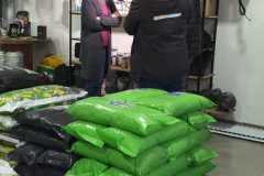 Cannabis en la Salud de los Animales No Humanos