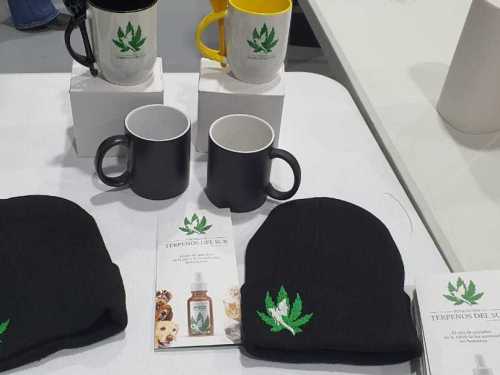 Imagen-de-WhatsApp-2025-03-17-a-las-11.05.41_01ff7dab