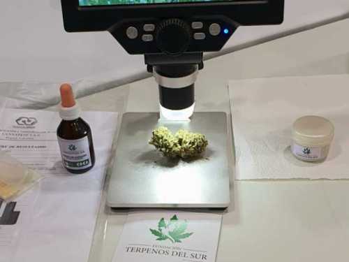 Imagen-de-WhatsApp-2025-03-17-a-las-11.05.43_ed3b14b1