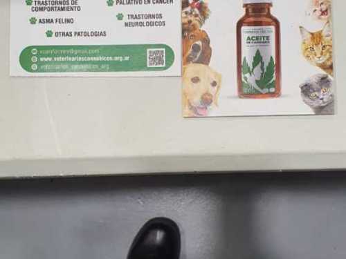 Imagen-de-WhatsApp-2025-03-17-a-las-11.05.44_9ef28e31