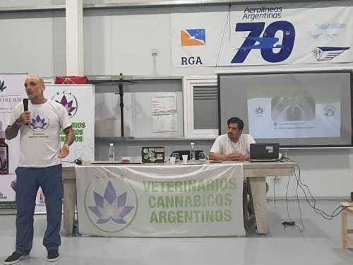 Imagen-de-WhatsApp-2025-03-17-a-las-11.05.44_a689b1fc