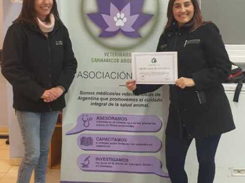 Imagen-de-WhatsApp-2025-03-17-a-las-11.05.45_7c113c15