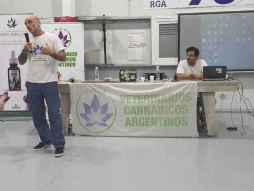 Imagen-de-WhatsApp-2025-03-17-a-las-11.05.45_7e9fd0f9