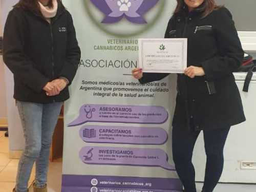 Imagen-de-WhatsApp-2025-03-17-a-las-11.05.46_068a7e22