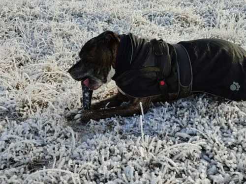 Imagen-de-WhatsApp-2025-04-02-a-las-23.19.11_a0758494