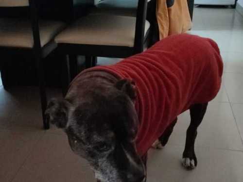 Imagen-de-WhatsApp-2025-04-02-a-las-23.19.11_de975456