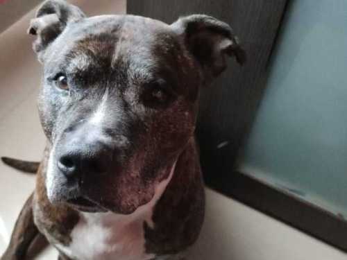 Imagen-de-WhatsApp-2025-04-02-a-las-23.19.12_ff3f8fb5