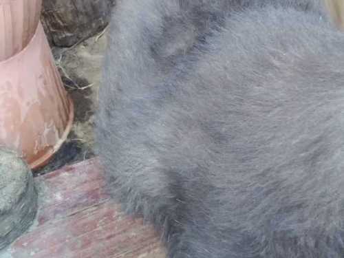 Imagen-de-WhatsApp-2025-04-02-a-las-23.19.32_c40a59af