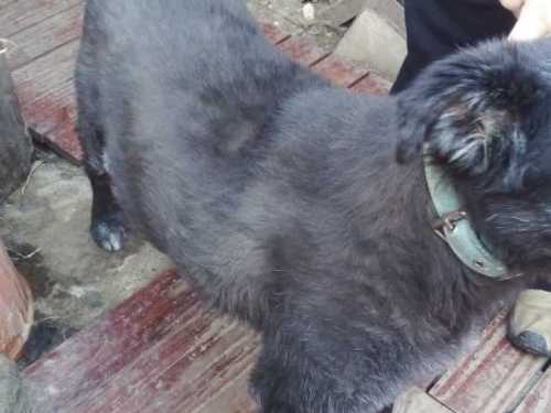 Imagen-de-WhatsApp-2025-04-02-a-las-23.19.32_ff5c685e