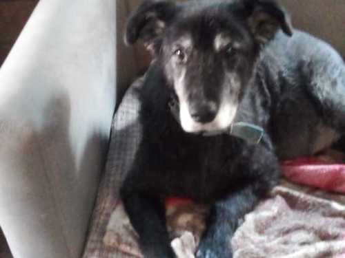 Imagen-de-WhatsApp-2025-04-02-a-las-23.19.33_4770320d