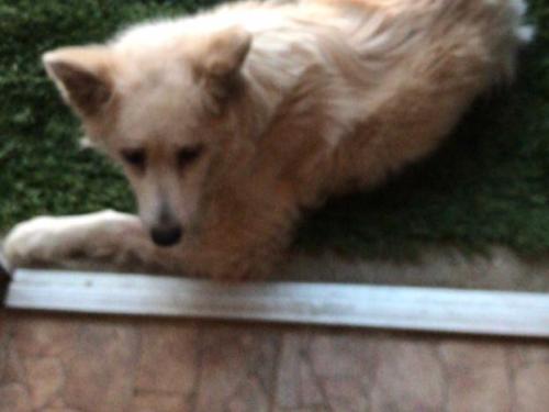 Imagen-de-WhatsApp-2025-04-02-a-las-23.19.57_e19aef24