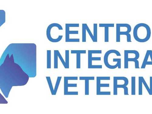 Imagen-de-WhatsApp-2025-04-02-a-las-23.19.59_d56c44be