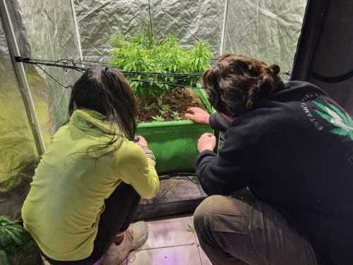 Imagen-de-WhatsApp-2025-03-17-a-las-11.09.15_fbaabe48