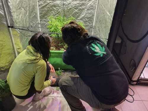 Imagen-de-WhatsApp-2025-03-17-a-las-11.09.16_ecde3ce7