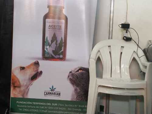 Imagen-de-WhatsApp-2025-03-17-a-las-11.09.21_440a6966