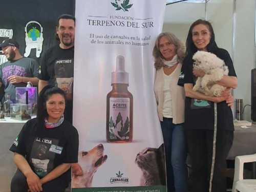 Imagen-de-WhatsApp-2025-03-17-a-las-11.09.21_6d344ad8