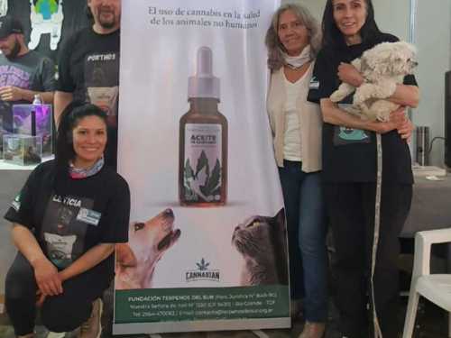 Imagen-de-WhatsApp-2025-03-17-a-las-11.09.21_9a934e4d