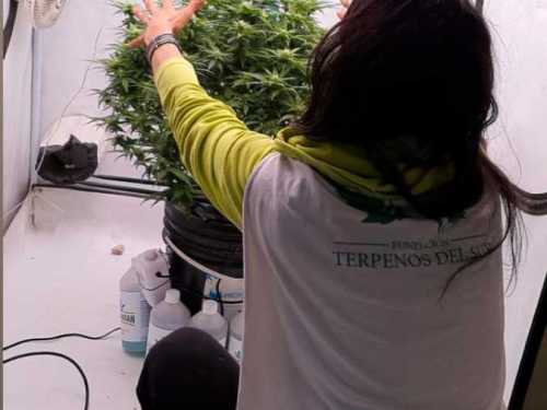 Imagen-de-WhatsApp-2025-03-17-a-las-11.14.54_8c5d7a1e